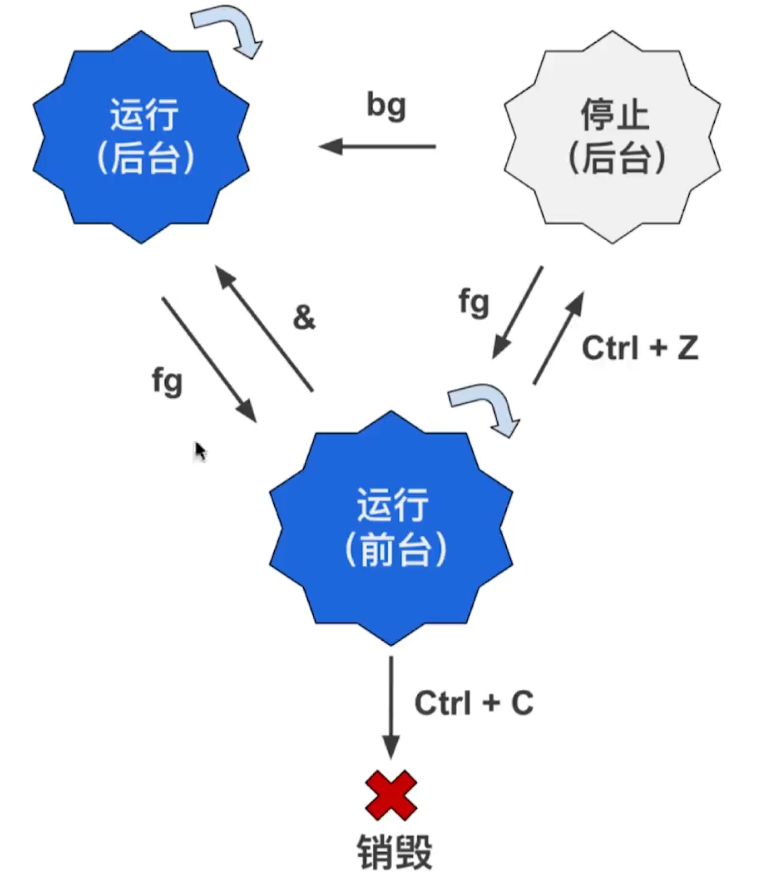 image-20231210102614434